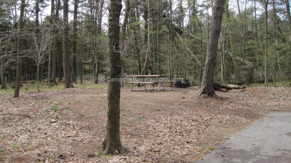 Campsite 222 in KohlerAndrae State Park Campground at KohlerAndrae State Park, Wisconsin